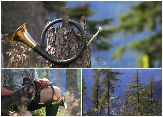Collage Wald:Melling Jagd